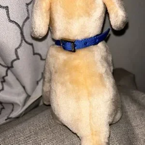 Andrex puppy toy 1980s online